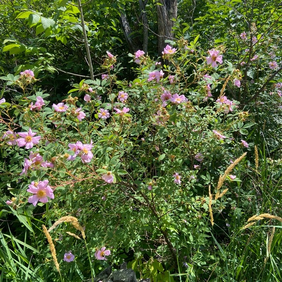 Meet your Posher, Christine - Picture 1 of 1